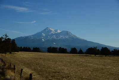 DSC_2990 (Large).JPG